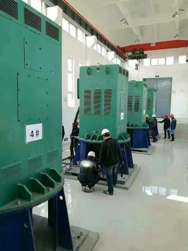 清镇某污水处理厂使用我厂的立式高压电机安装现场品质保证